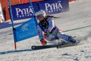 FIS Baltijas kauss 2022 Pozza di Fassa, FIS GS, Foto: E.Lukšo