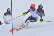 FIS Baltic Cup 2018 3. posms, jauniešu un meistaru AC slaloms, Foto: Emīls Lukšo