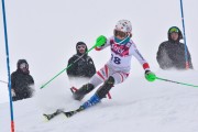 FIS Baltic Cup 2018 3. posms, jauniešu un meistaru AC slaloms, Foto: Emīls Lukšo