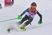 FIS Baltic Cup 2018 3. posms, jauniešu un meistaru AC slaloms, Foto: Emīls Lukšo