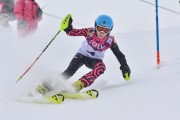 FIS Baltic Cup 2018 3. posms, jauniešu un meistaru AC slaloms, Foto: Emīls Lukšo