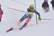 FIS Baltic Cup 2018 3. posms, jauniešu un meistaru AC slaloms, Foto: Emīls Lukšo