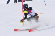 FIS Baltic Cup 2018 3. posms, jauniešu un meistaru AC slaloms, Foto: Emīls Lukšo