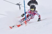 FIS Baltic Cup 2018 3. posms, jauniešu un meistaru AC slaloms, Foto: Emīls Lukšo