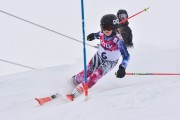 FIS Baltic Cup 2018 3. posms, jauniešu un meistaru AC slaloms, Foto: Emīls Lukšo