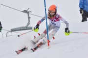 FIS Baltic Cup 2018 3. posms, jauniešu un meistaru AC slaloms, Foto: Emīls Lukšo