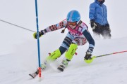 FIS Baltic Cup 2018 3. posms, jauniešu un meistaru AC slaloms, Foto: Emīls Lukšo