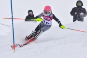 FIS Baltic Cup 2018 3. posms, jauniešu un meistaru AC slaloms, Foto: Emīls Lukšo