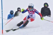 FIS Baltic Cup 2018 3. posms, jauniešu un meistaru AC slaloms, Foto: Emīls Lukšo