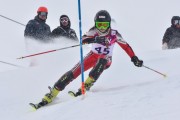 FIS Baltic Cup 2018 3. posms, jauniešu un meistaru AC slaloms, Foto: Emīls Lukšo