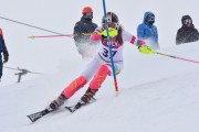 FIS Baltic Cup 2018 3. posms, jauniešu un meistaru AC slaloms, Foto: Emīls Lukšo