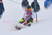 FIS Baltic Cup 2018 3. posms, jauniešu un meistaru AC slaloms, Foto: Emīls Lukšo