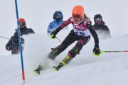 FIS Baltic Cup 2018 3. posms, jauniešu un meistaru AC slaloms, Foto: Emīls Lukšo