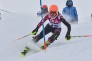 FIS Baltic Cup 2018 3. posms, jauniešu un meistaru AC slaloms, Foto: Emīls Lukšo