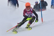 FIS Baltic Cup 2018 3. posms, jauniešu un meistaru AC slaloms, Foto: Emīls Lukšo