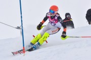 FIS Baltic Cup 2018 3. posms, jauniešu un meistaru AC slaloms, Foto: Emīls Lukšo