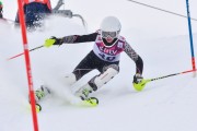 FIS Baltic Cup 2018 3. posms, jauniešu un meistaru AC slaloms, Foto: Emīls Lukšo