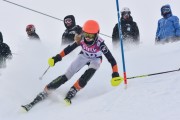 FIS Baltic Cup 2018 3. posms, jauniešu un meistaru AC slaloms, Foto: Emīls Lukšo