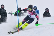 FIS Baltic Cup 2018 3. posms, jauniešu un meistaru AC slaloms, Foto: Emīls Lukšo