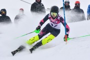 FIS Baltic Cup 2018 3. posms, jauniešu un meistaru AC slaloms, Foto: Emīls Lukšo