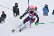 FIS Baltic Cup 2018 3. posms, jauniešu un meistaru AC slaloms, Foto: Emīls Lukšo