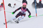 FIS Baltic Cup 2018 3. posms, jauniešu un meistaru AC slaloms, Foto: Emīls Lukšo