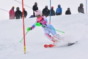 FIS Baltic Cup 2018 3. posms, jauniešu un meistaru AC slaloms, Foto: Emīls Lukšo