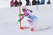 FIS Baltic Cup 2018 3. posms, jauniešu un meistaru AC slaloms, Foto: Emīls Lukšo