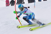 FIS Baltic Cup 2018 3. posms, jauniešu un meistaru AC slaloms, Foto: Emīls Lukšo