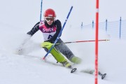 FIS Baltic Cup 2018 3. posms, jauniešu un meistaru AC slaloms, Foto: Emīls Lukšo