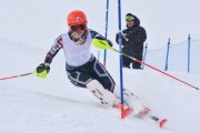 FIS Baltic Cup 2018 3. posms, jauniešu un meistaru AC slaloms, Foto: Emīls Lukšo