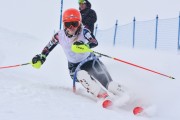 FIS Baltic Cup 2018 3. posms, jauniešu un meistaru AC slaloms, Foto: Emīls Lukšo