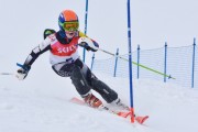 FIS Baltic Cup 2018 3. posms, jauniešu un meistaru AC slaloms, Foto: Emīls Lukšo