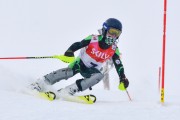 FIS Baltic Cup 2018 3. posms, jauniešu un meistaru AC slaloms, Foto: Emīls Lukšo