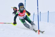 FIS Baltic Cup 2018 3. posms, jauniešu un meistaru AC slaloms, Foto: Emīls Lukšo