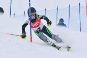 FIS Baltic Cup 2018 3. posms, jauniešu un meistaru AC slaloms, Foto: Emīls Lukšo