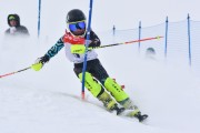 FIS Baltic Cup 2018 3. posms, jauniešu un meistaru AC slaloms, Foto: Emīls Lukšo