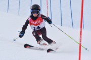 FIS Baltic Cup 2018 3. posms, jauniešu un meistaru AC slaloms, Foto: Emīls Lukšo