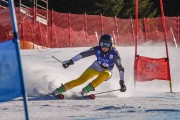 FIS Baltijas kauss 2022 Pozza di Fassa, FIS Lietuvas čempionāts GS, Foto: E.Lukšo