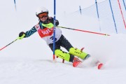 FIS Baltic Cup 2018 3. posms, jauniešu un meistaru AC slaloms, Foto: Emīls Lukšo