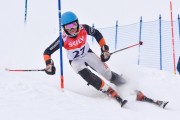 FIS Baltic Cup 2018 3. posms, jauniešu un meistaru AC slaloms, Foto: Emīls Lukšo