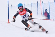 FIS Baltic Cup 2018 3. posms, jauniešu un meistaru AC slaloms, Foto: Emīls Lukšo