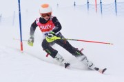 FIS Baltic Cup 2018 3. posms, jauniešu un meistaru AC slaloms, Foto: Emīls Lukšo