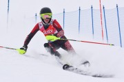 FIS Baltic Cup 2018 3. posms, jauniešu un meistaru AC slaloms, Foto: Emīls Lukšo