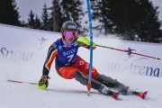 FIS Baltijas kauss 2022 Pozza di Fassa, FIS Lietuvas čempionāts SL, Foto: E.Lukšo