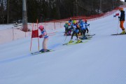 Vilciņa kauss, 2.posms - Fans balvas izcīņa, Foto: M.Pole