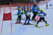 Vilciņa kauss, 2.posms - Fans balvas izcīņa, Foto: M.Pole