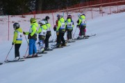 Vilciņa kauss, 2.posms - Fans balvas izcīņa, Foto: M.Pole