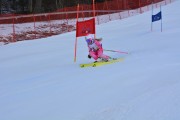 Vilciņa kauss, 2.posms - Fans balvas izcīņa, Foto: M.Pole