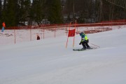 Vilciņa kauss, 2.posms - Fans balvas izcīņa, Foto: M.Pole